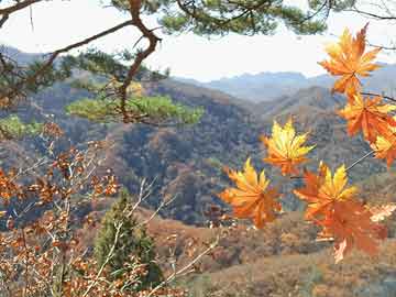 美原油實時行情走勢與渠縣寶城鎮(zhèn)新貌深度解析