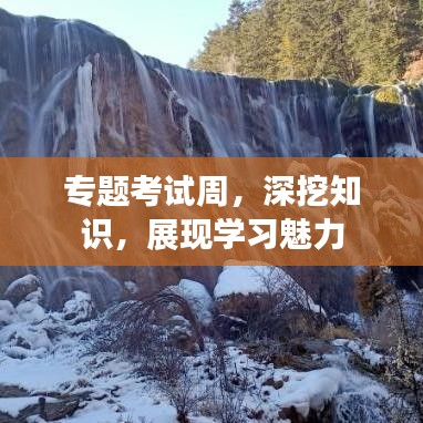 專題考試周，深挖知識，展現(xiàn)學習魅力