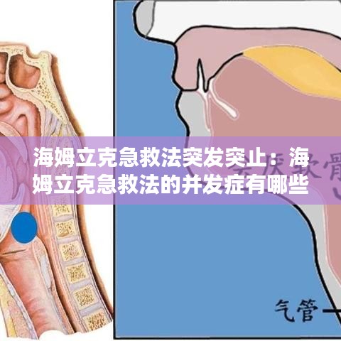 戶外裝備 第131頁
