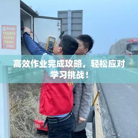 高效作業(yè)完成攻略，輕松應(yīng)對(duì)學(xué)習(xí)挑戰(zhàn)！