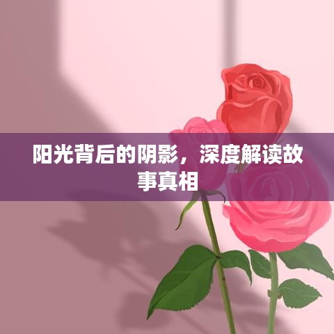 陽光背后的陰影，深度解讀故事真相