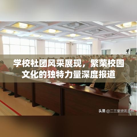 學校社團風采展現(xiàn)，繁榮校園文化的獨特力量深度報道