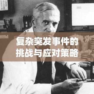 復雜突發(fā)事件的挑戰(zhàn)與應對策略，深度解析