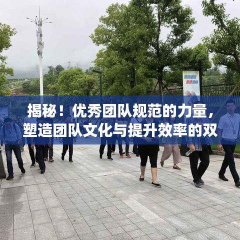 揭秘！優(yōu)秀團(tuán)隊(duì)規(guī)范的力量，塑造團(tuán)隊(duì)文化與提升效率的雙重秘訣