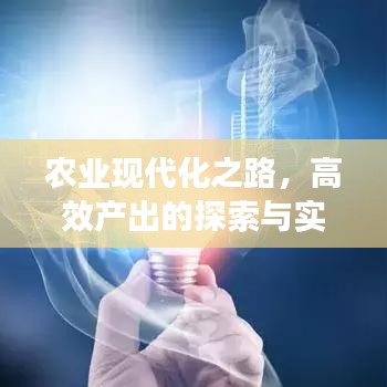 農(nóng)業(yè)現(xiàn)代化之路，高效產(chǎn)出的探索與實踐