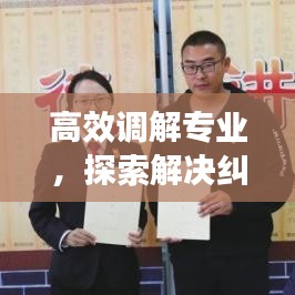 高效調(diào)解專業(yè)，探索解決糾紛的新路徑