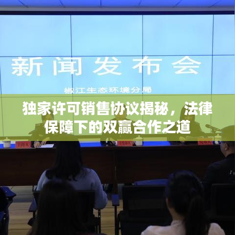 獨(dú)家許可銷售協(xié)議揭秘，法律保障下的雙贏合作之道