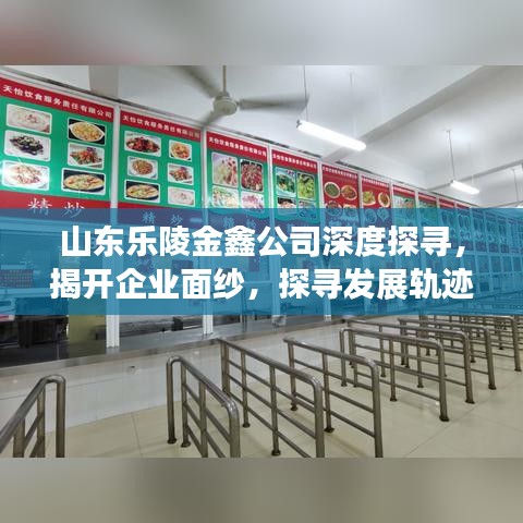 山東樂陵金鑫公司深度探尋，揭開企業(yè)面紗，探尋發(fā)展軌跡