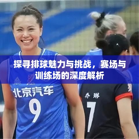 探尋排球魅力與挑戰(zhàn)，賽場與訓(xùn)練場的深度解析