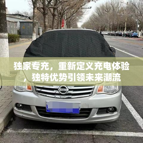 獨家專充，重新定義充電體驗，獨特優(yōu)勢引領(lǐng)未來潮流