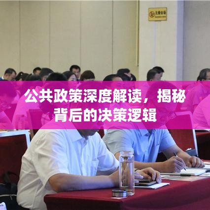 公共政策深度解讀，揭秘背后的決策邏輯