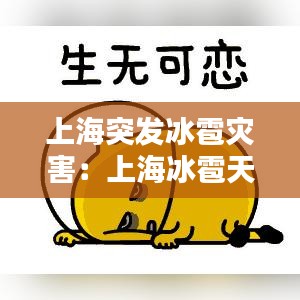 上海突發(fā)冰雹災(zāi)害：上海冰雹天氣 
