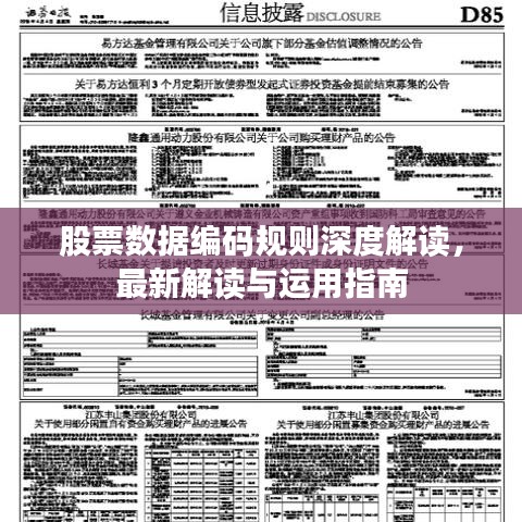 股票數據編碼規(guī)則深度解讀，最新解讀與運用指南