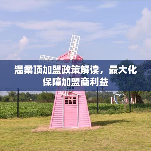 溫柔頂加盟政策詳解，最大化保障加盟商利益