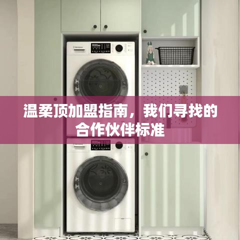 溫柔頂加盟手冊(cè)，合作伙伴招募標(biāo)準(zhǔn)詳解