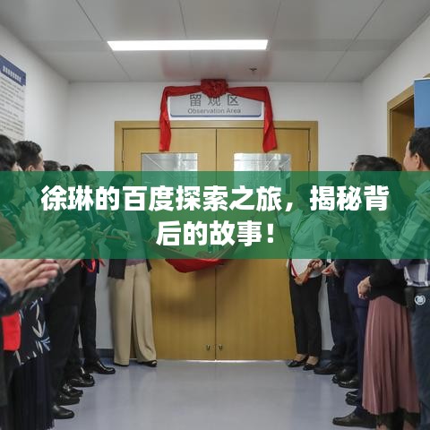 徐琳的百度探索之旅，揭秘背后的故事！