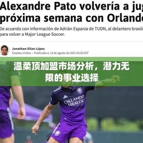 溫柔頂加盟市場深度解析，事業(yè)潛力無限選擇