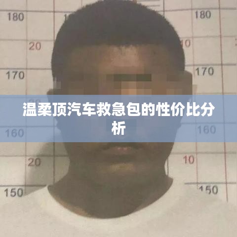 溫柔頂汽車救急包，性價比解析