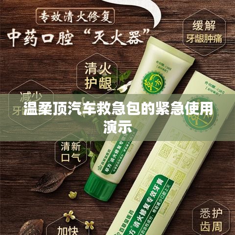 溫柔頂汽車救急包緊急使用指南，演示篇