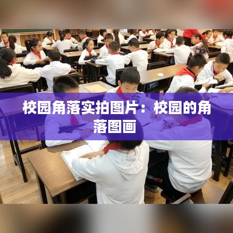校園角落實(shí)拍圖片：校園的角落圖畫 