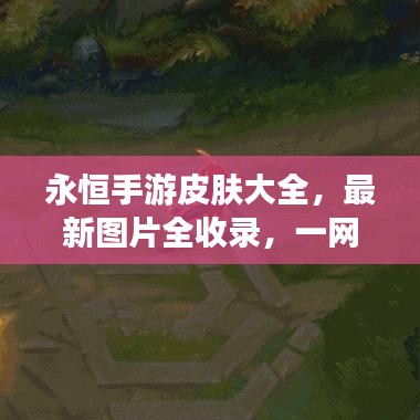 永恒手游皮膚大全，最新圖片全收錄，一網(wǎng)打盡獨家呈現(xiàn)！