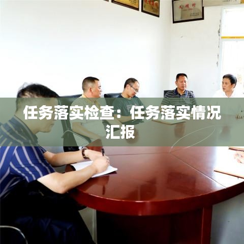 任務(wù)落實檢查：任務(wù)落實情況匯報 