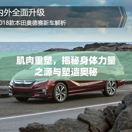 肌肉重塑，揭秘身體力量之源與塑造奧秘