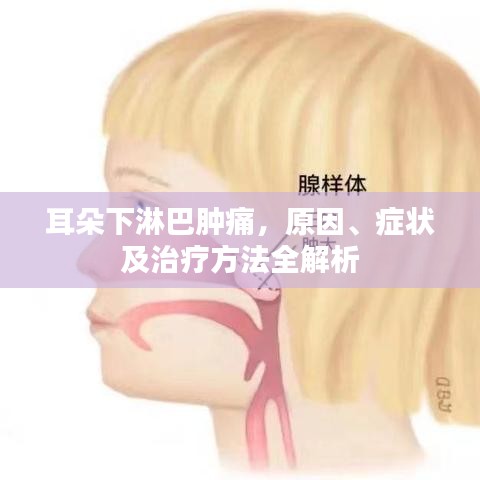 耳朵下淋巴腫痛，原因、癥狀及治療方法全解析