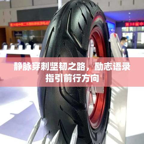 靜脈穿刺堅韌之路，勵志語錄指引前行方向