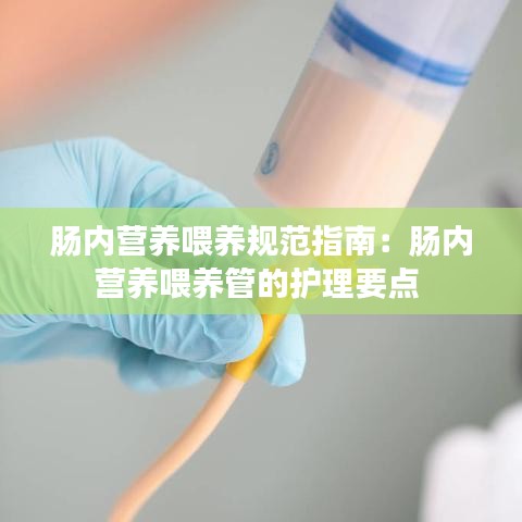 腸內營養(yǎng)喂養(yǎng)規(guī)范指南：腸內營養(yǎng)喂養(yǎng)管的護理要點 