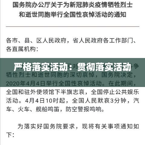 嚴(yán)格落實(shí)活動(dòng)：貫徹落實(shí)活動(dòng) 