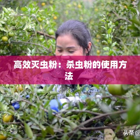 高效滅蟲(chóng)粉：殺蟲(chóng)粉的使用方法 