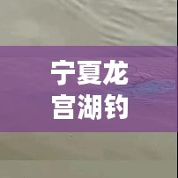 寧夏龍宮湖釣魚秘籍，最新攻略全解析！