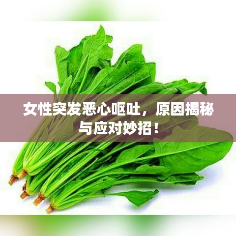 女性突發(fā)惡心嘔吐，原因揭秘與應(yīng)對(duì)妙招！