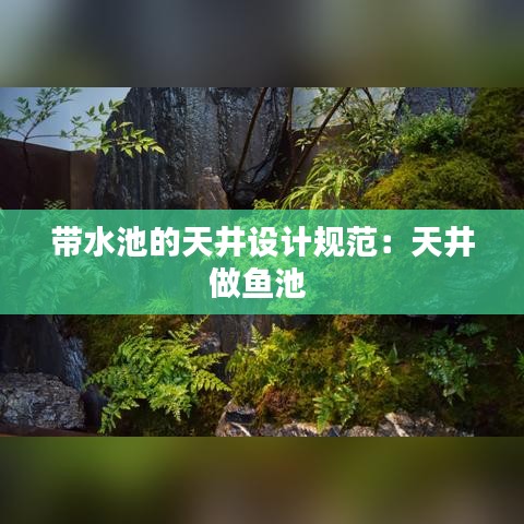 帶水池的天井設(shè)計規(guī)范：天井做魚池 