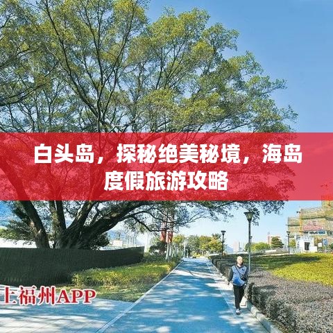 白頭島，探秘絕美秘境，海島度假旅游攻略