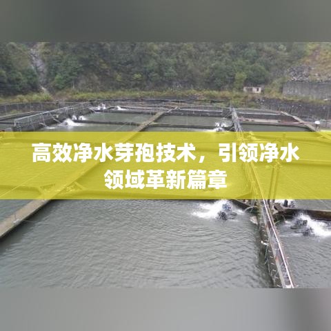 烏鳥(niǎo)之情 第2頁(yè)