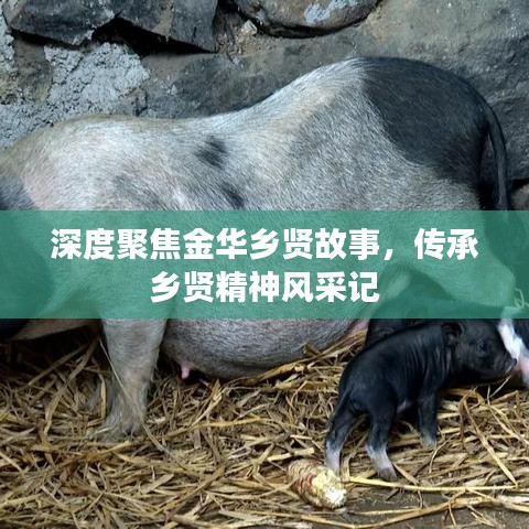 深度聚焦金華鄉(xiāng)賢故事，傳承鄉(xiāng)賢精神風(fēng)采記