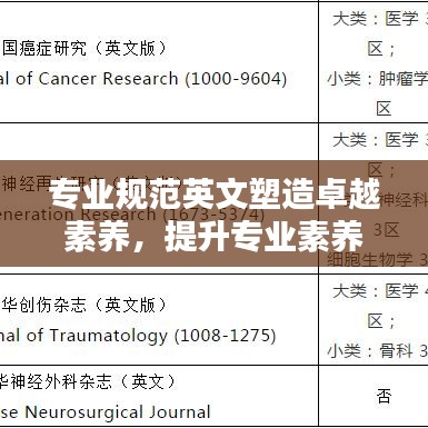專業(yè)規(guī)范英文塑造卓越素養(yǎng)，提升專業(yè)素養(yǎng)的關(guān)鍵之道