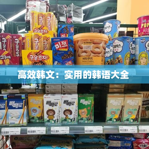 高效韓文：實(shí)用的韓語大全 