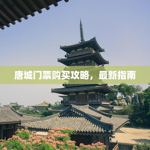 唐城門票購買攻略，最新指南