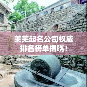 萊蕪起名公司權威排名榜單揭曉！