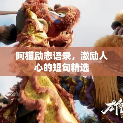 阿貓勵(lì)志語錄，激勵(lì)人心的短句精選