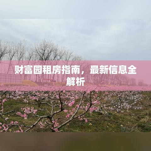 財(cái)富園租房指南，最新信息全解析