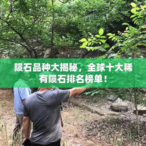 隕石品種大揭秘，全球十大稀有隕石排名榜單！