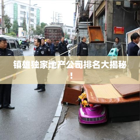 鎮(zhèn)雄獨(dú)家地產(chǎn)公司排名大揭秘！
