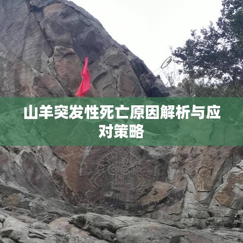 山羊突發(fā)性死亡原因解析與應(yīng)對策略