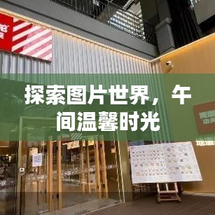 探索圖片世界，午間溫馨時(shí)光