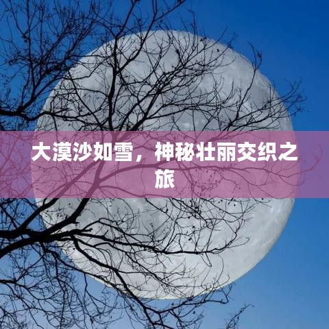 大漠沙如雪，神秘壯麗交織之旅