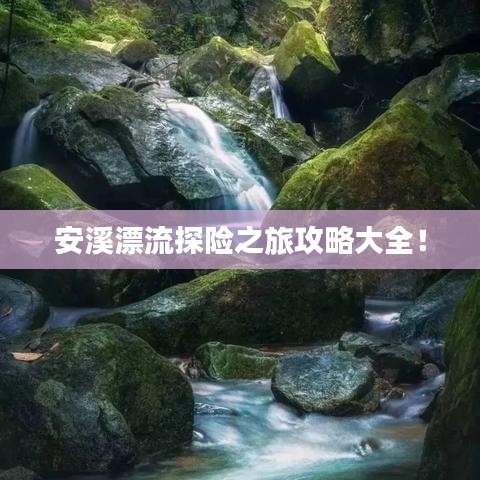 忠心耿耿 第2頁
